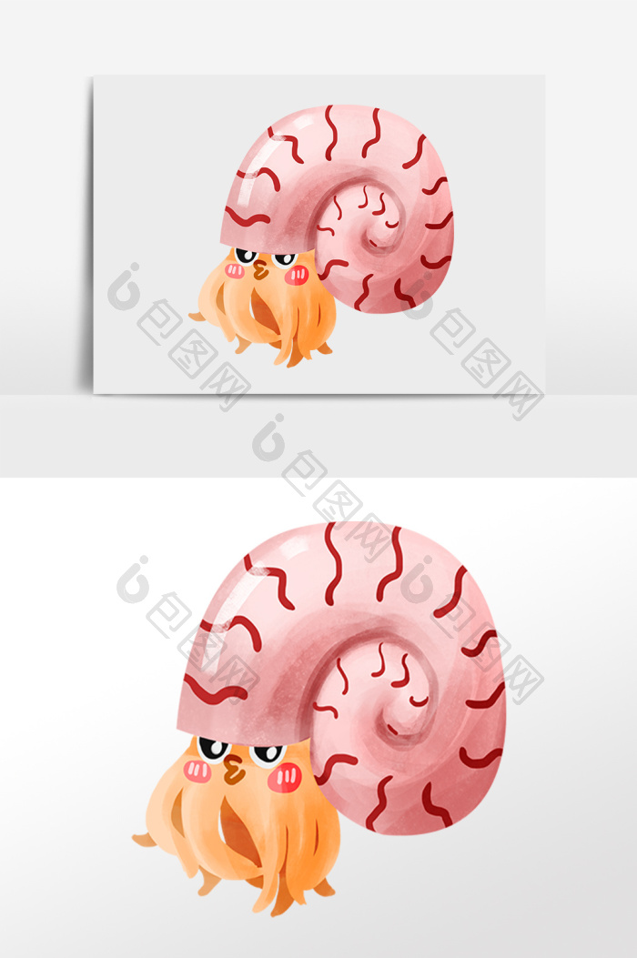海洋生物水生物鹦鹉螺插画图片