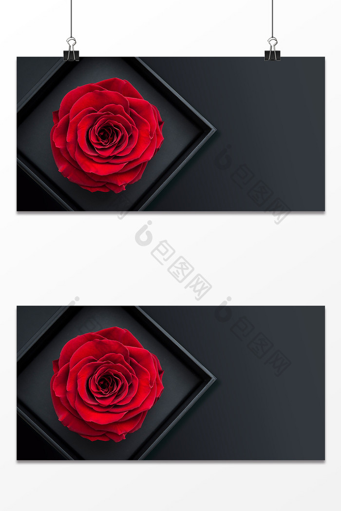 红色玫瑰5.20情人节背景