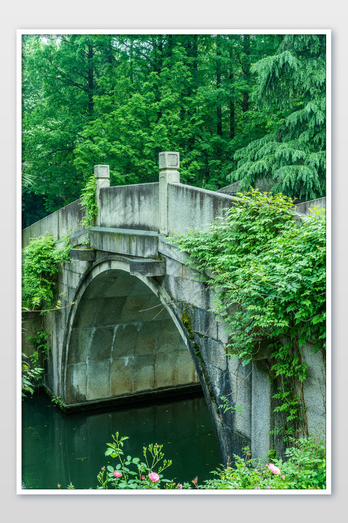 公园石拱桥养生休闲古色古香中国风摄影图