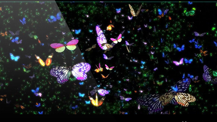 2组蝴蝶飞LED屏幕背景视频素材