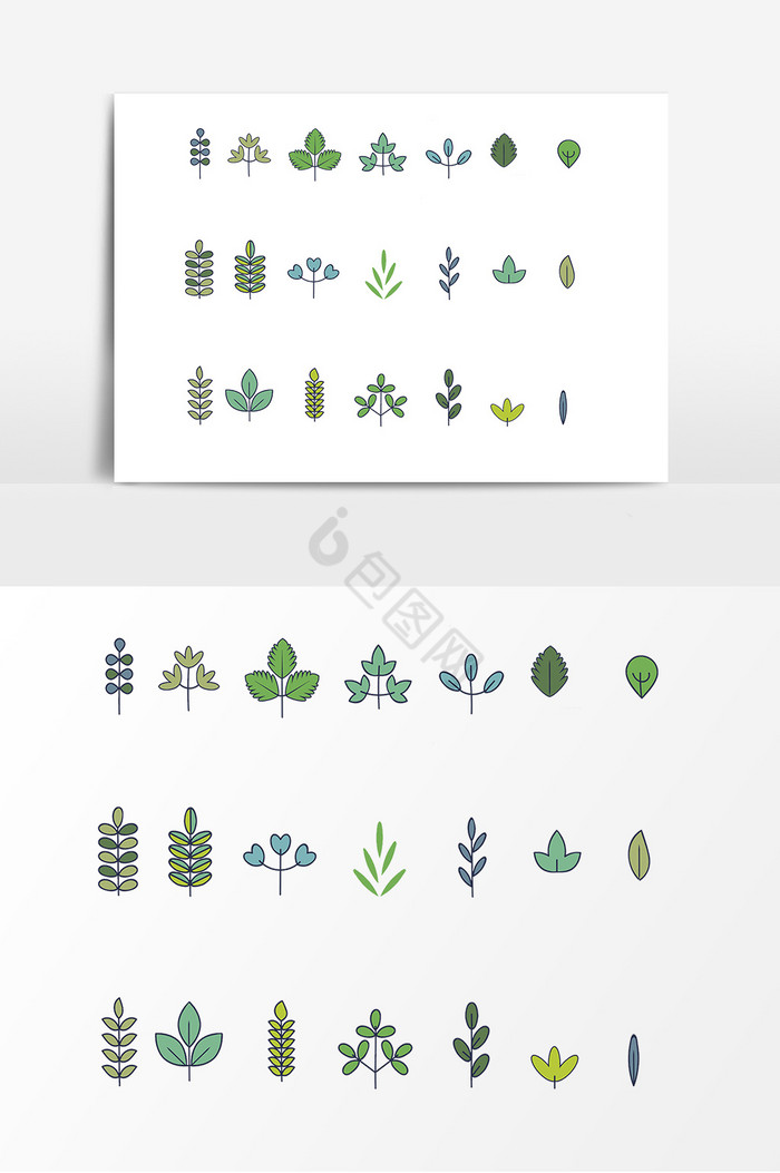 植物树木图片