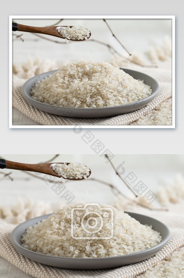 传统美食东北胚芽大米高清特写摄影图片
