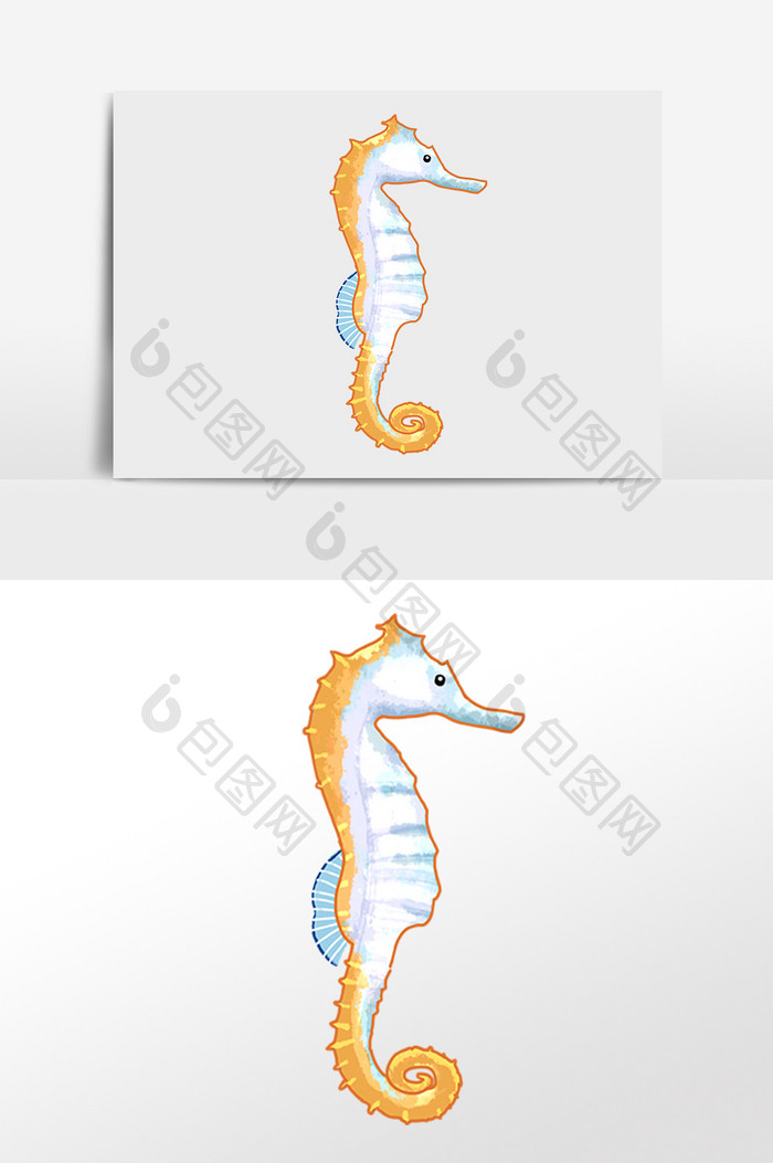 手绘海洋生物水生物海马插画