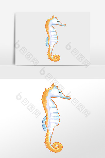 手绘海洋生物水生物海马插画图片