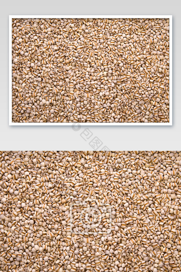 粗粮豆类薏米养生农产品图片图片