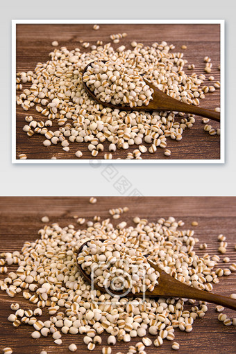 勺子里的薏米养生食材五谷杂粮摄影图片