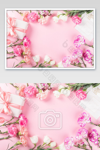 母亲节粉色康乃馨礼物静物摄影图片