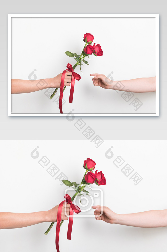 情人节送玫瑰花表白摄影图片
