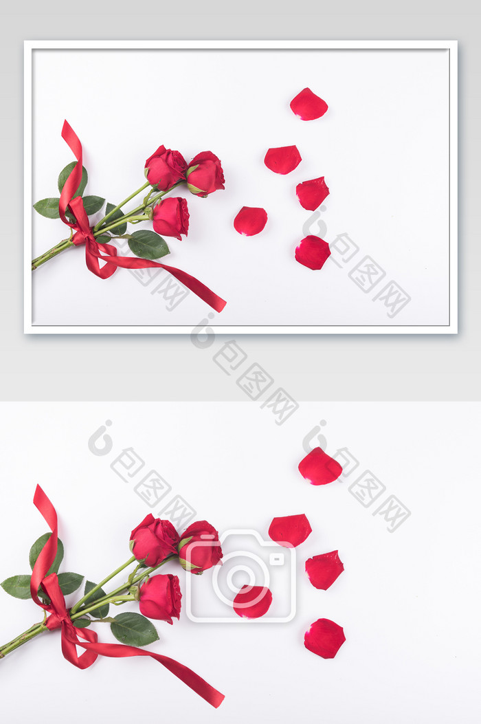 鲜花玫瑰红色玫瑰摄影图片