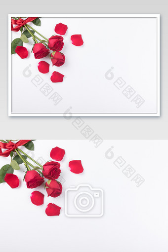 玫瑰鲜花花瓣情人节摄影图片