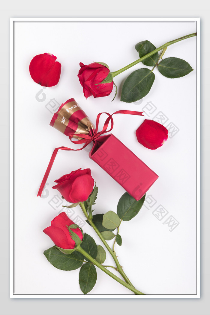 玫瑰鲜花红色礼物摄影图片