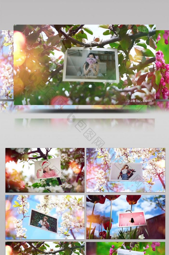 夏日婚礼旅游多种花朵图片展示AE模板