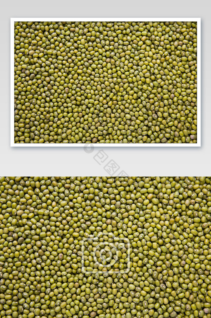 俯拍绿豆铺满画面片图片