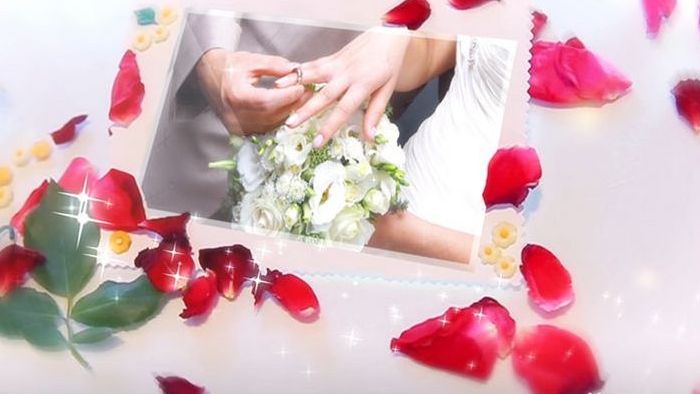 唯美浪漫甜蜜玫瑰花瓣婚礼结婚相册AE模板
