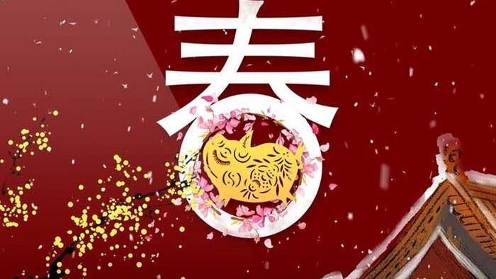 中国风喜庆2019猪年拜年视频AE模板