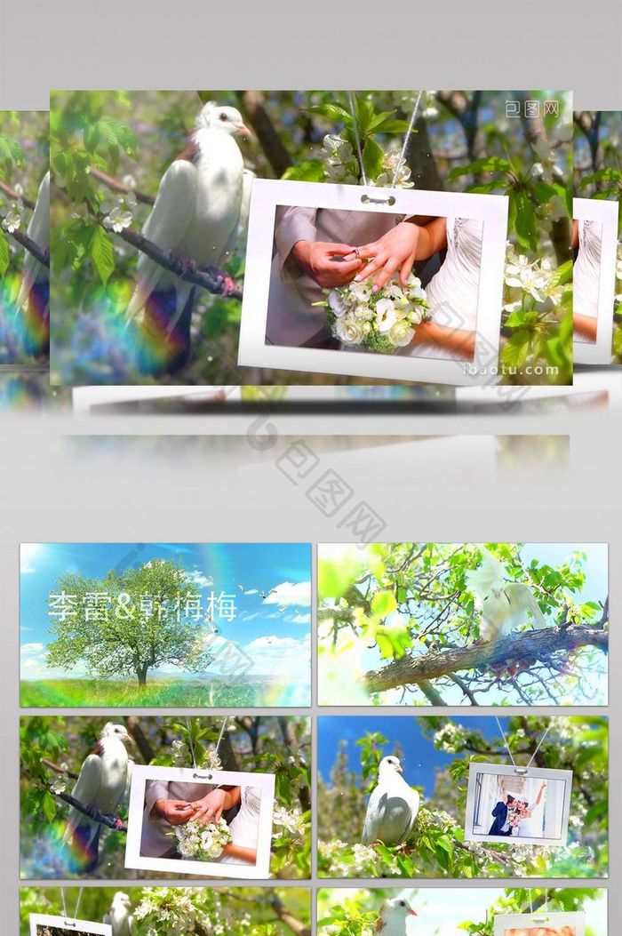 鸽子为主题爱情故事婚礼浪漫相册视频模板