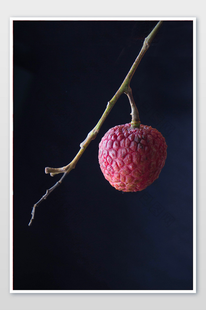 黑色荔枝特写片