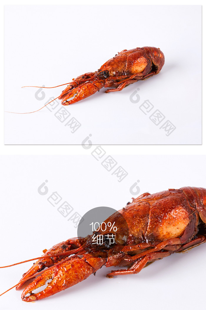 红色小龙虾单只美食白底图摄影图片