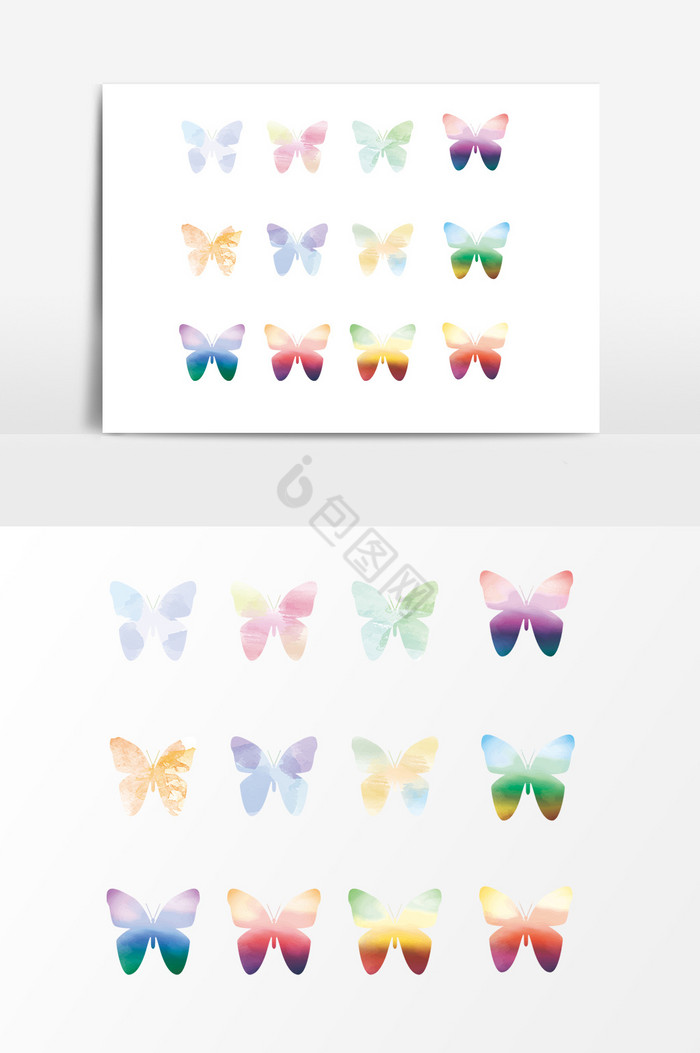 彩色昆虫蝴蝶图片