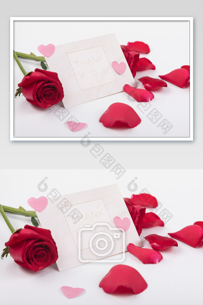玫瑰花花瓣浪漫情人节图片图片