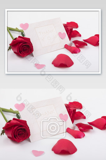 玫瑰花花瓣浪漫情人节图片