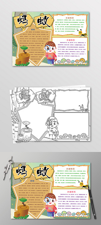 卡通蚂蚁动物手抄报黑白线描小报