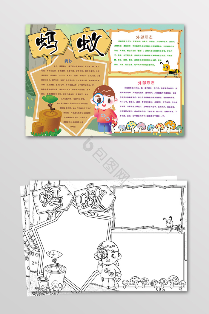 蚂蚁动物手抄报黑白线描小报