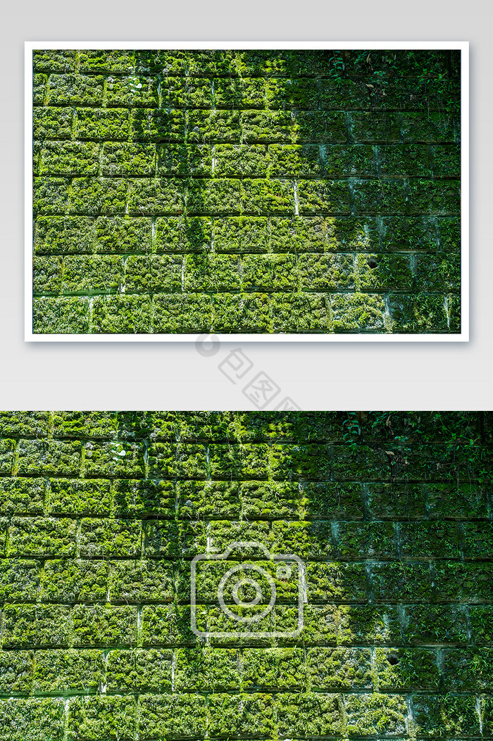 斑驳苔藓墙面倒影摄影图