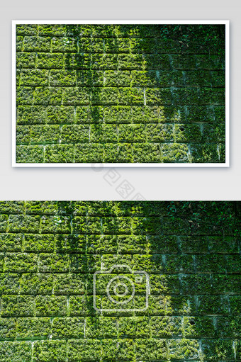 斑驳苔藓墙面倒影摄影图图片