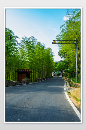 美丽乡村建设竹林道路摄影图