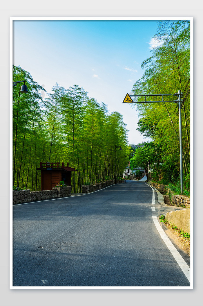 美丽乡村建设竹林道路摄影图图片图片
