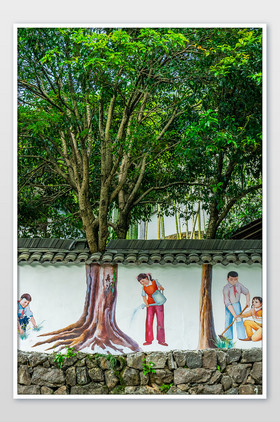 乡村文旅围墙墙绘
