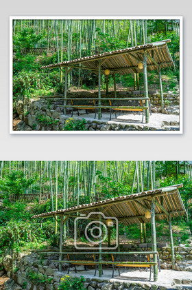 竹子简易小拱棚图片
