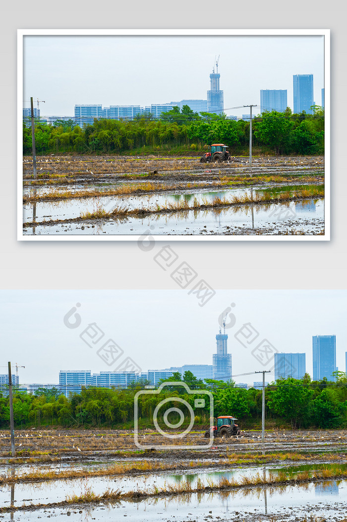 城市农田春耕农机耙田作业场景