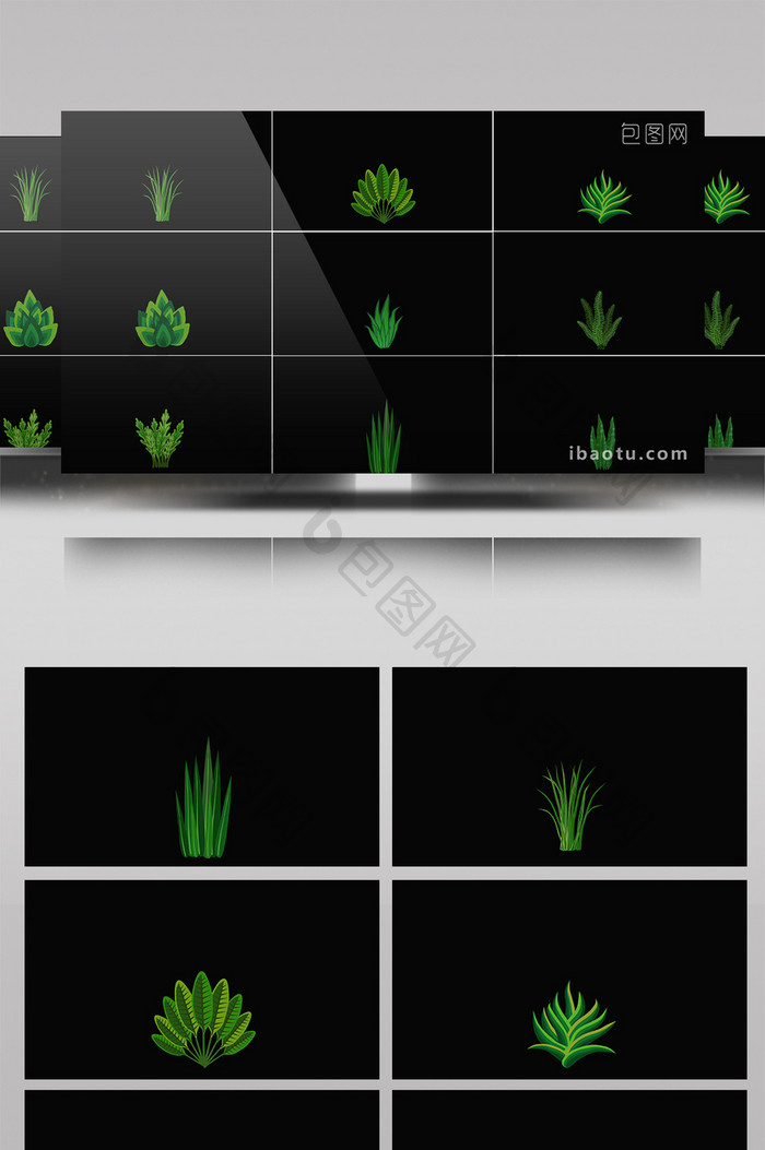 11组带通道单个草丛摇摆视频素材