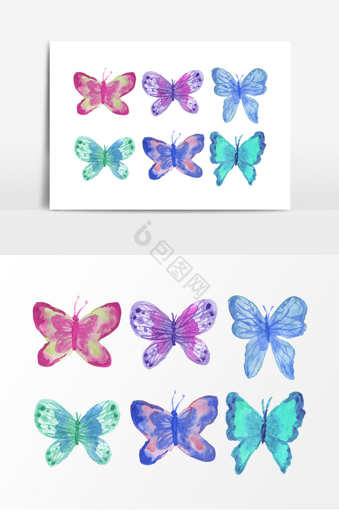 彩色蝴蝶昆虫动物标本图片