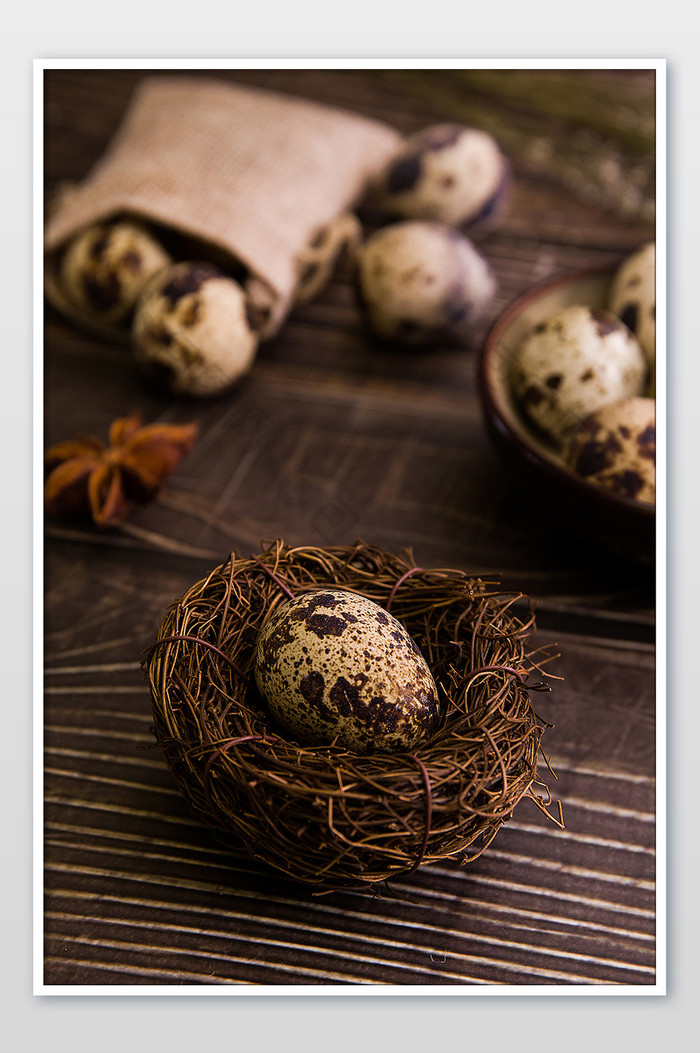 鸟巢里的鹌鹑蛋摄影图片图片