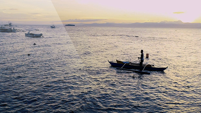 超级震撼的航拍鲸鲨视频