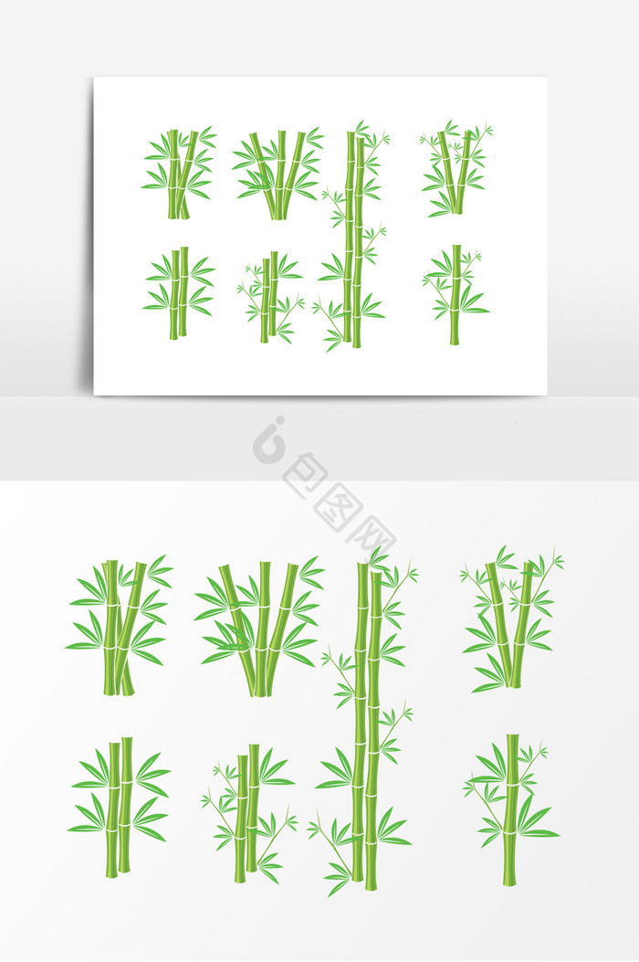竹子植物图片