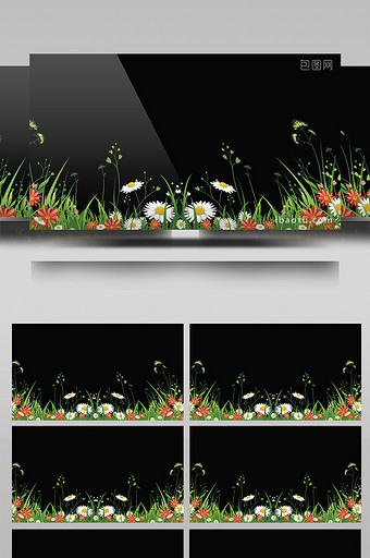 带透明通道花丛草丛摇摆视频素材2图片