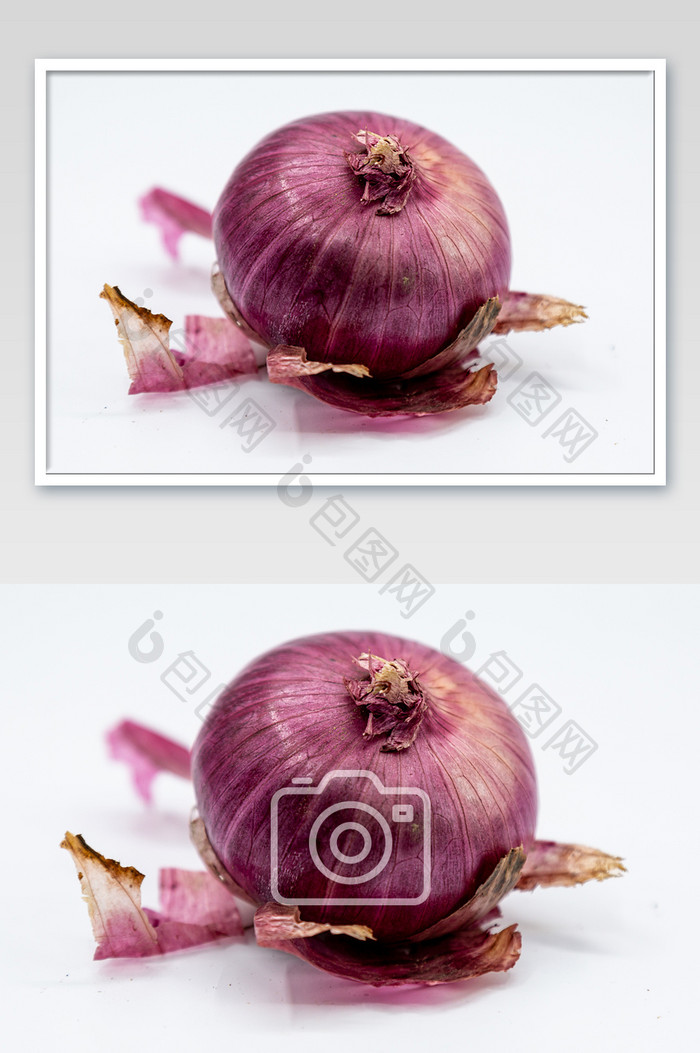 紫皮洋葱摄影图片