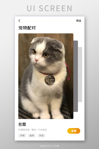 宠物APP宠物配对UI移动界面图片