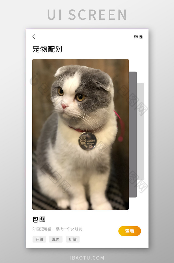 宠物APP宠物配对UI移动界面图片图片
