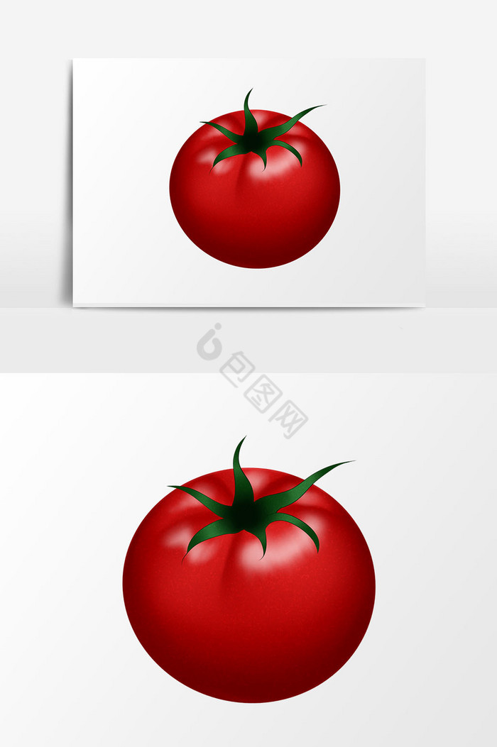 夏天夏季水果西红柿免扣图片