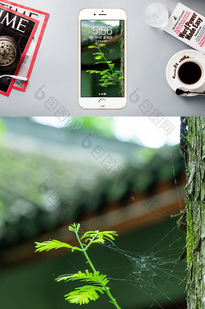 中国风古风绿植摄影图手机背景