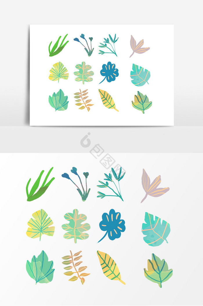 植物叶片图片