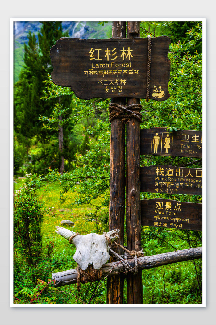 四川四姑娘山水指示牌大自然景色摄影图