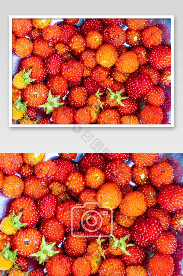 野草莓盆复子野果鲜红色摄影图图片图片