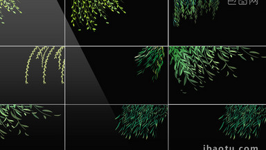 6组带通道初春柳树柳枝飘动元素视频素材