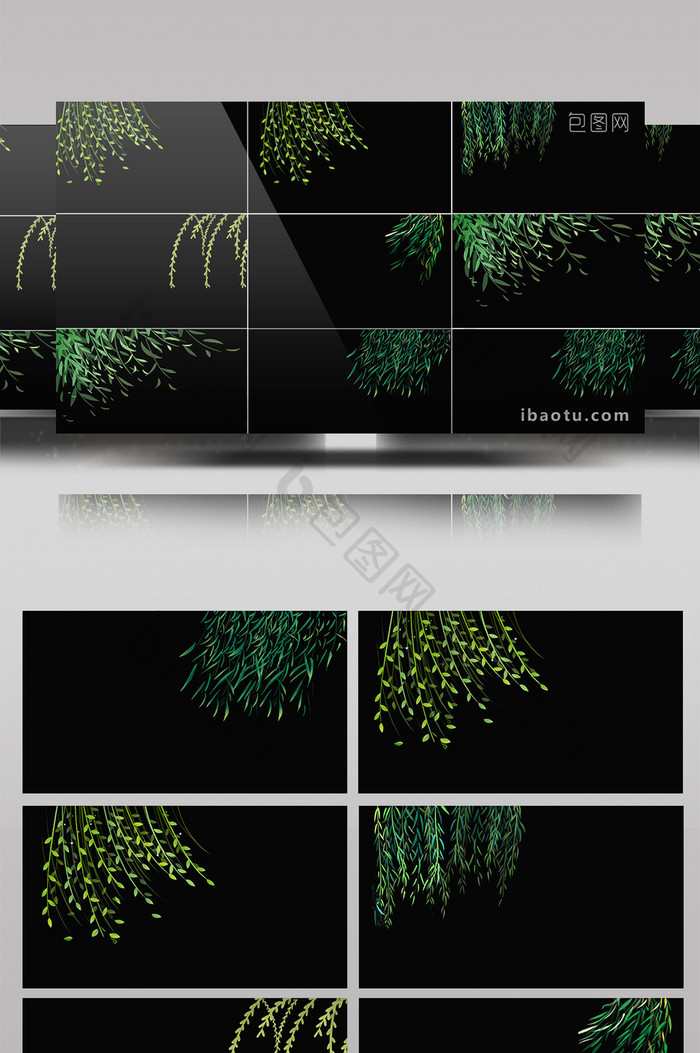 6组带通道初春柳树柳枝飘动元素视频素材